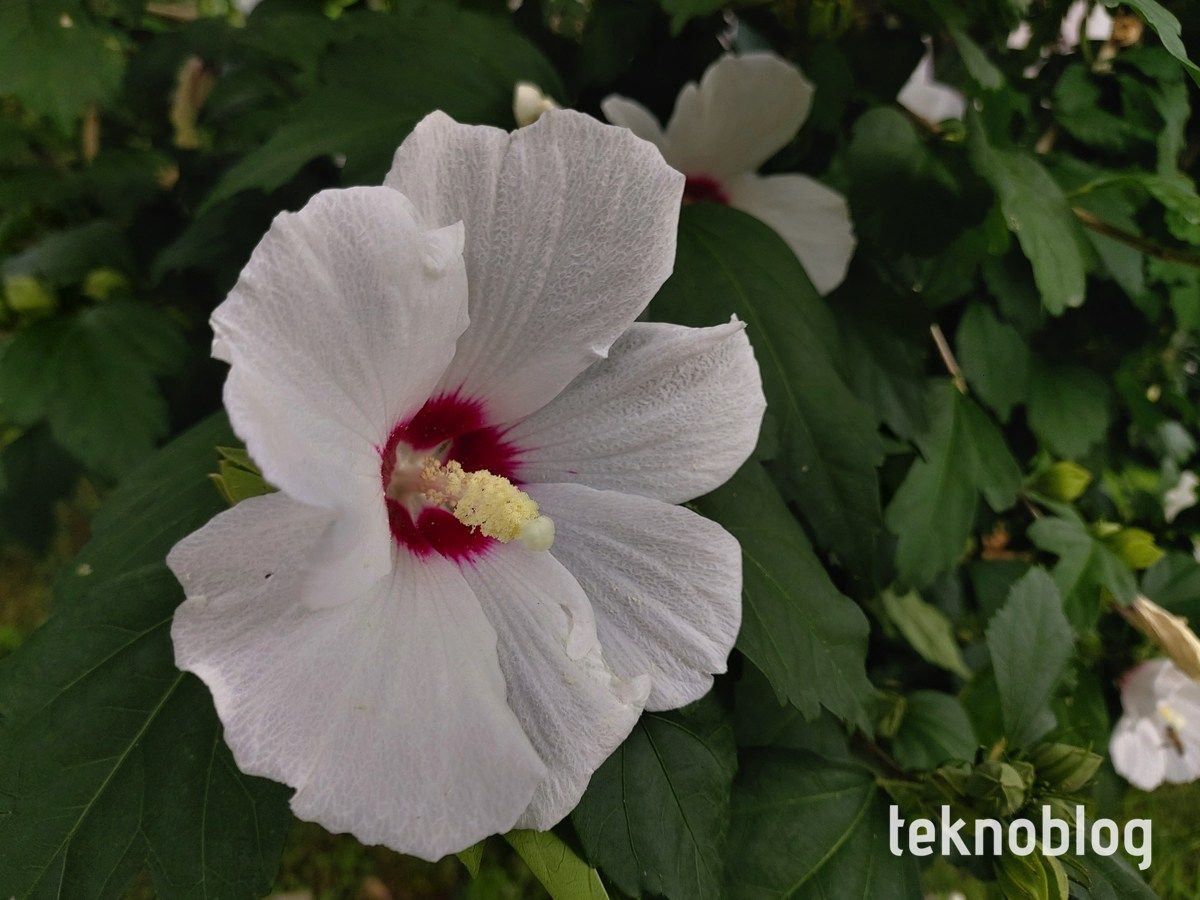 Samsung Galaxy A80 İncelemesi