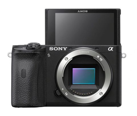 sony alpha a6600 a6100