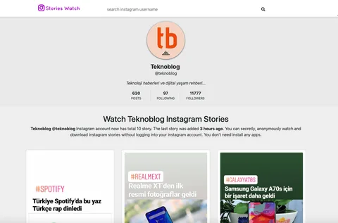 Instagram hikaye indirme işlemi için kullanışlı web sitesi