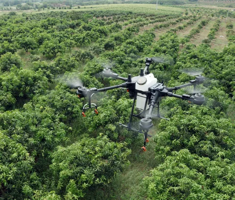 DJI yeni drone’larıyla tarıma olan ilgisini artırıyor