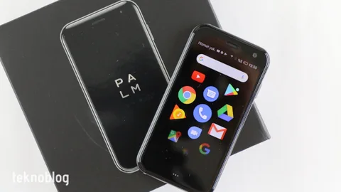 Video: Palm Kutusundan Çıkıyor (Ön İnceleme)