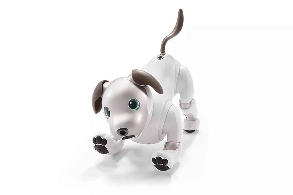 sony aibo