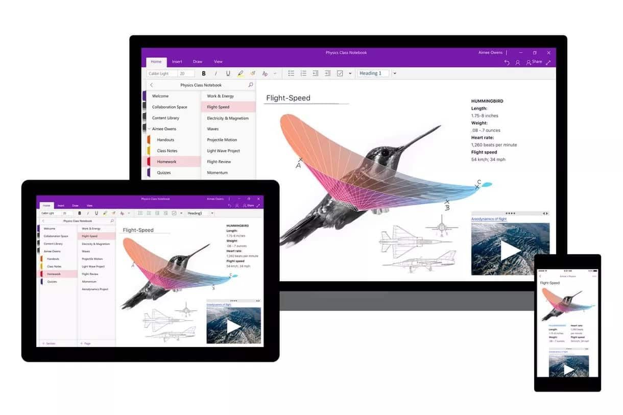 microsoft onenote