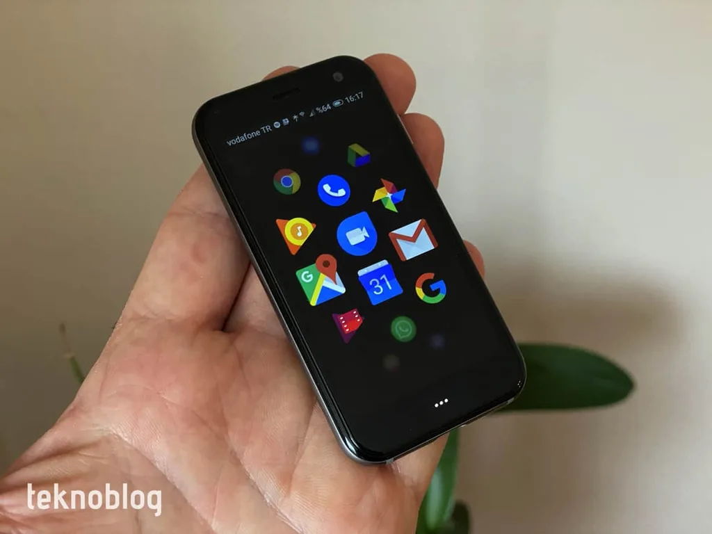 Palm İncelemesi