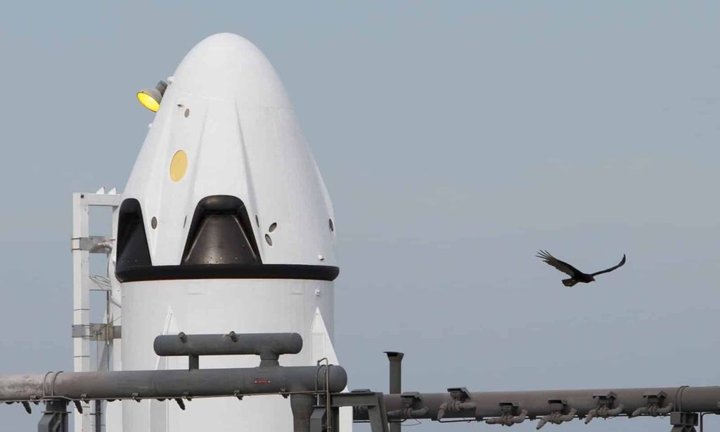 spacex crew dragon