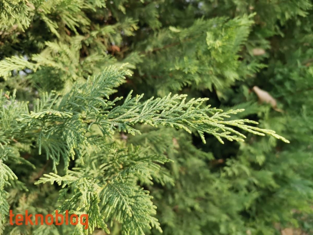 Huawei Nova 5T İncelemesi