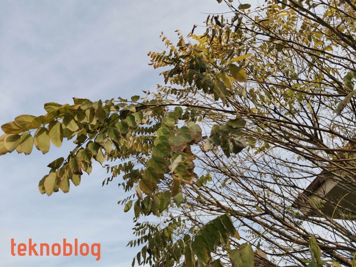 Huawei Nova 5T İncelemesi