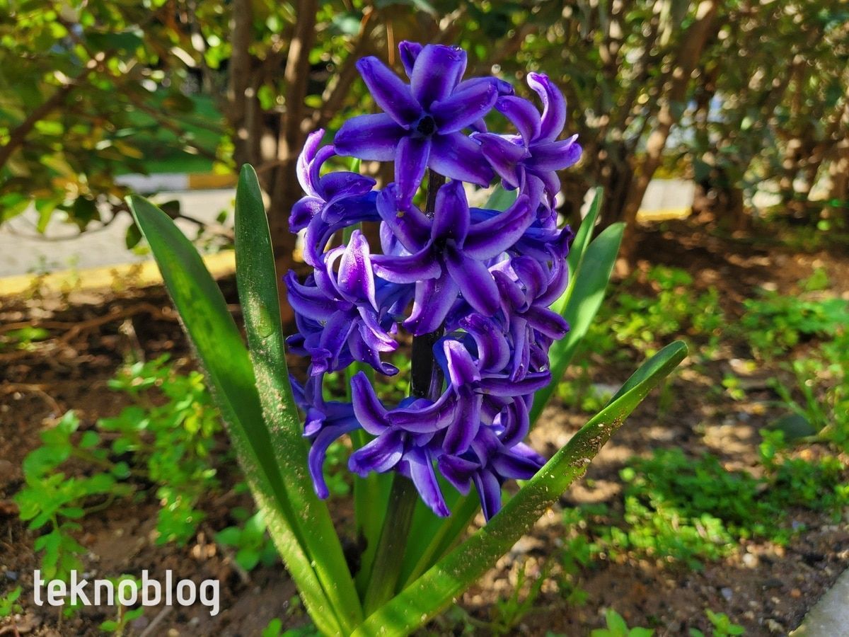 Samsung Galaxy Z Flip İncelemesi