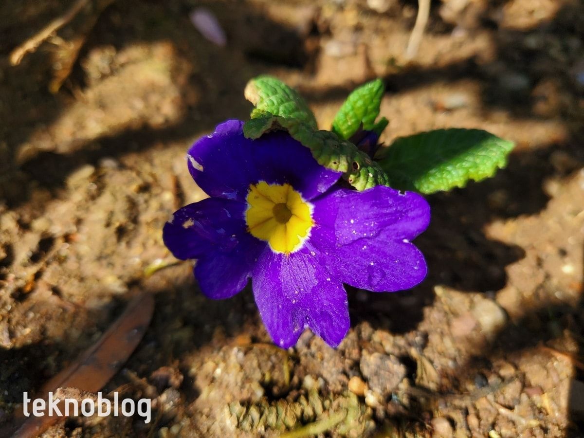 Samsung Galaxy Z Flip İncelemesi