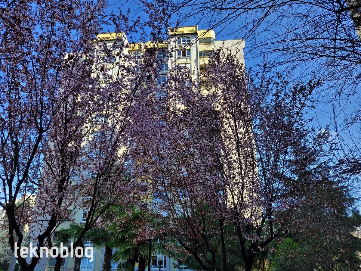 Samsung Galaxy Z Flip İncelemesi