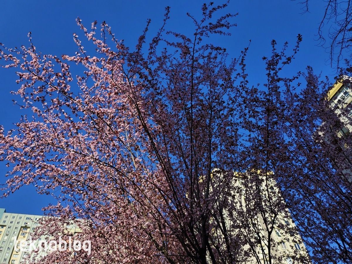 Samsung Galaxy Z Flip İncelemesi