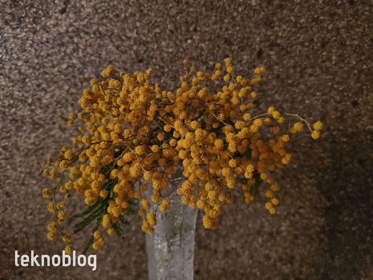 Samsung Galaxy Z Flip İncelemesi