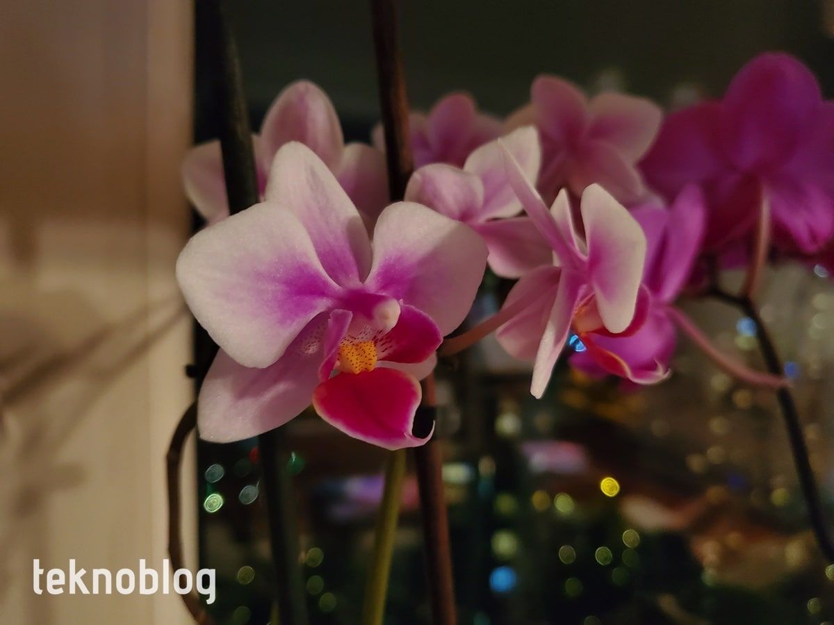 Samsung Galaxy Z Flip İncelemesi