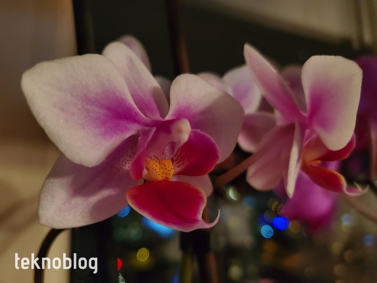 Samsung Galaxy Z Flip İncelemesi