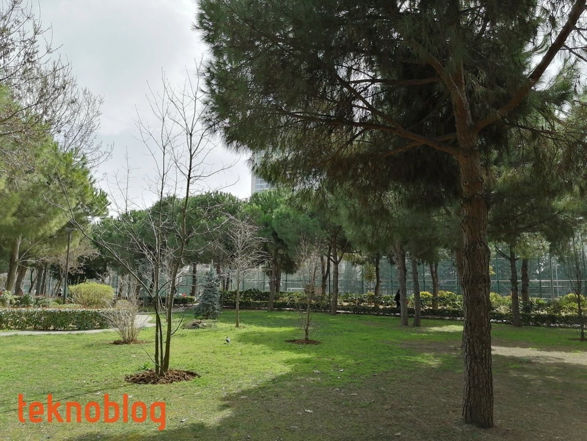 Huawei P Smart Pro İncelemesi