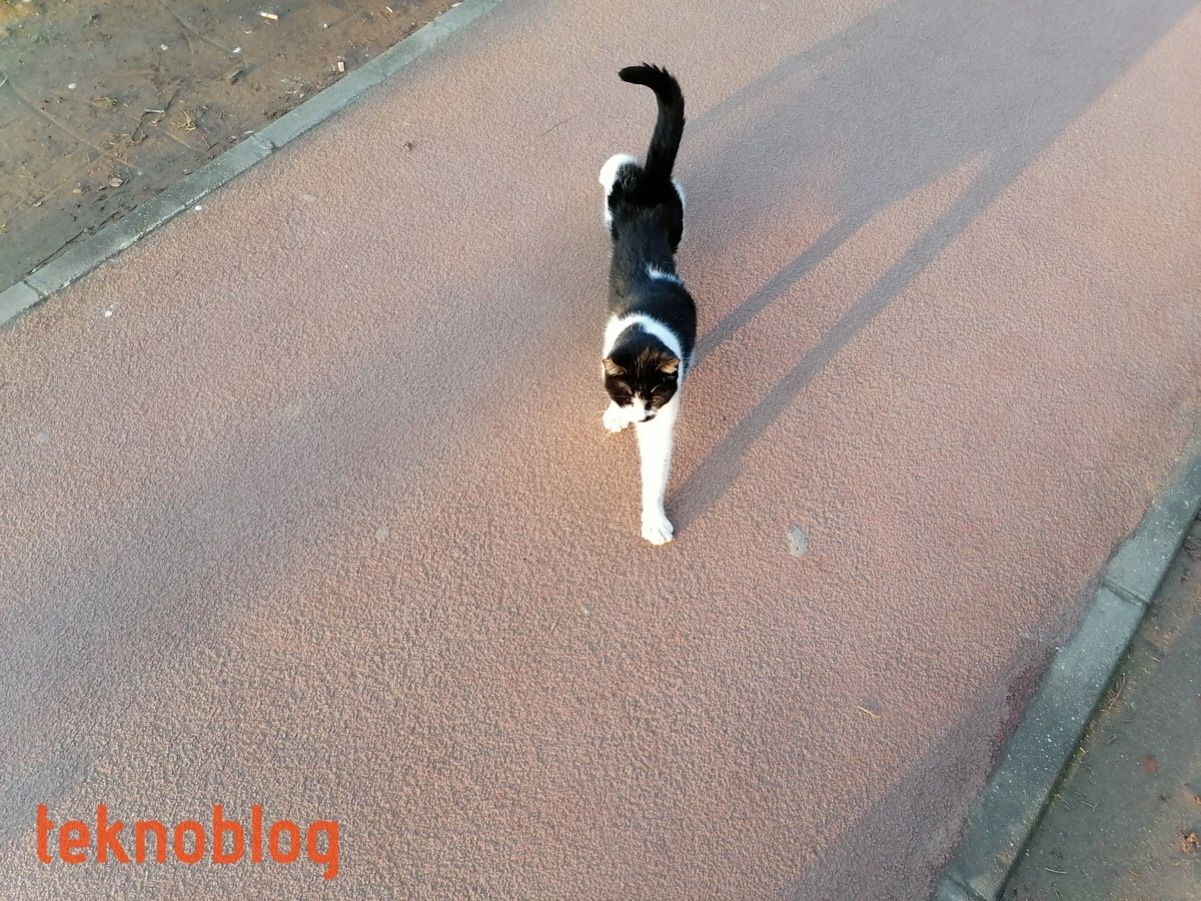 Huawei P Smart Pro İncelemesi