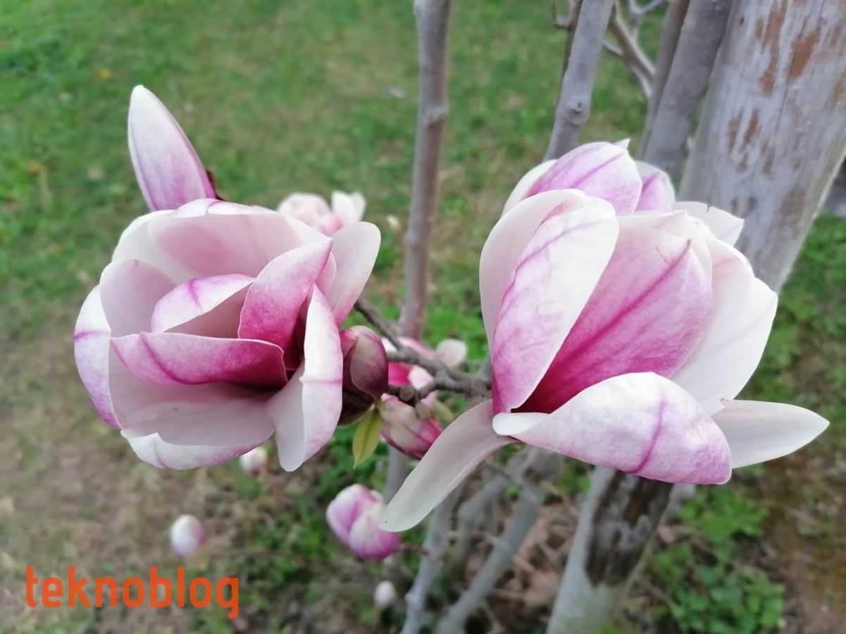 Huawei P Smart Pro İncelemesi