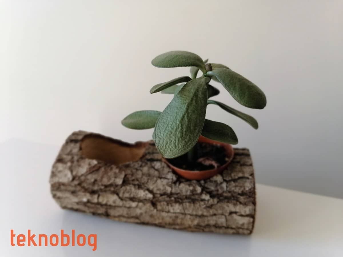 Huawei P Smart Pro İncelemesi