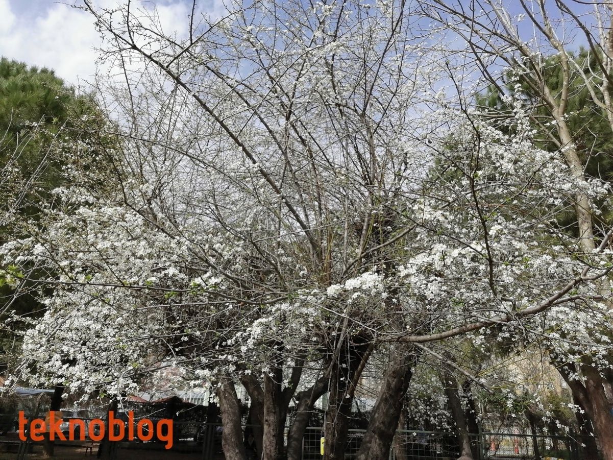 Huawei P Smart Pro İncelemesi