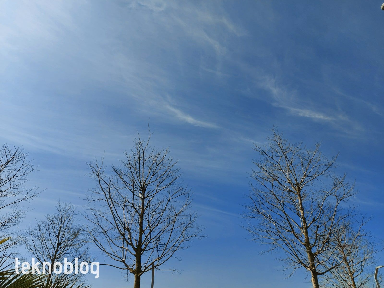 Samsung Galaxy A71 İncelemesi