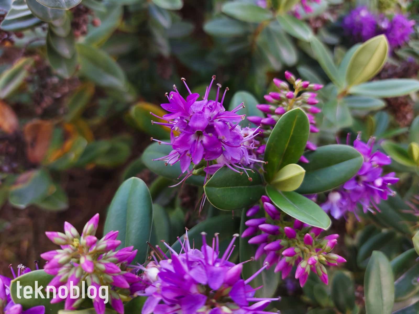 Samsung Galaxy A71 İncelemesi