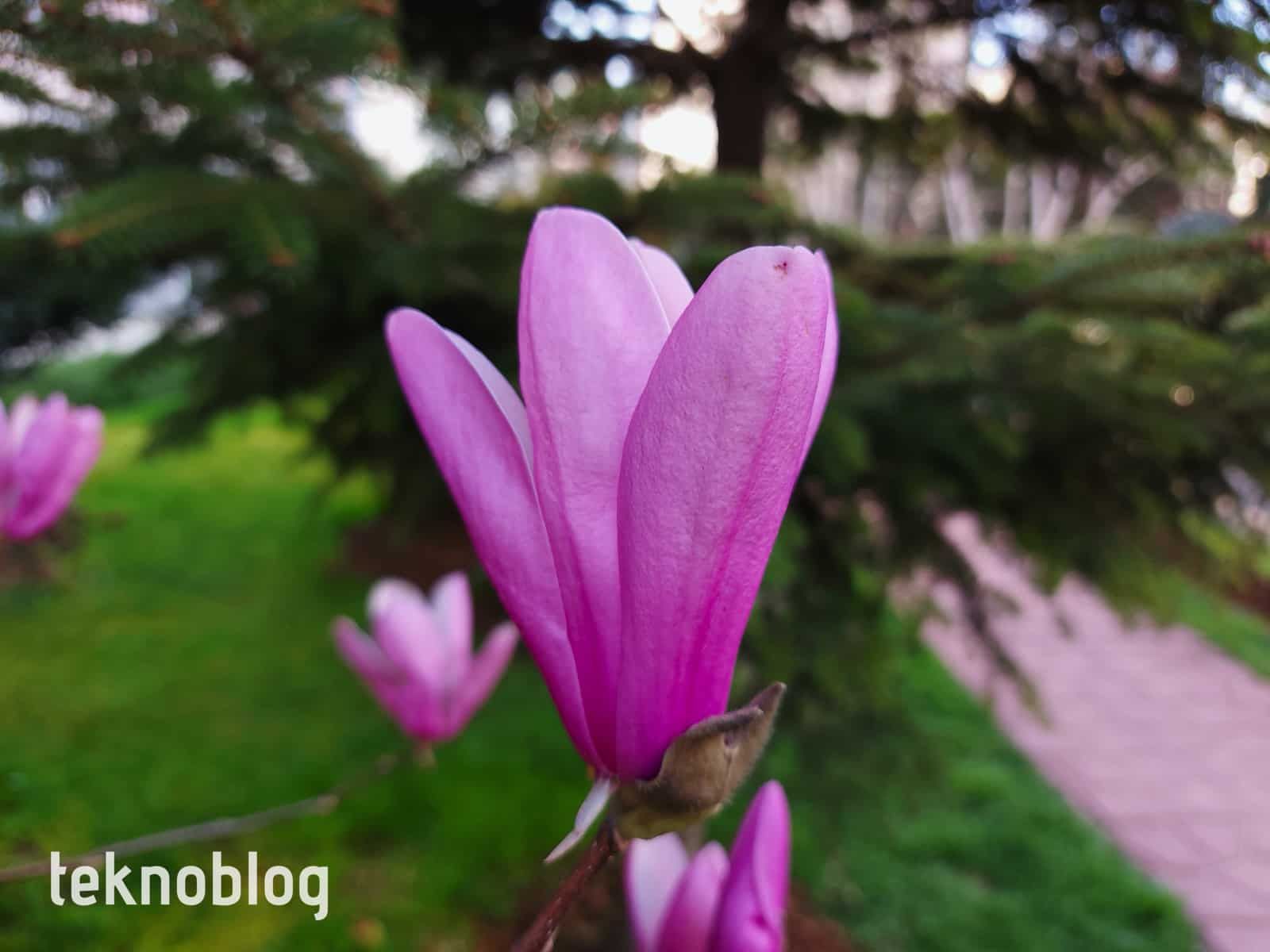 Samsung Galaxy A71 İncelemesi