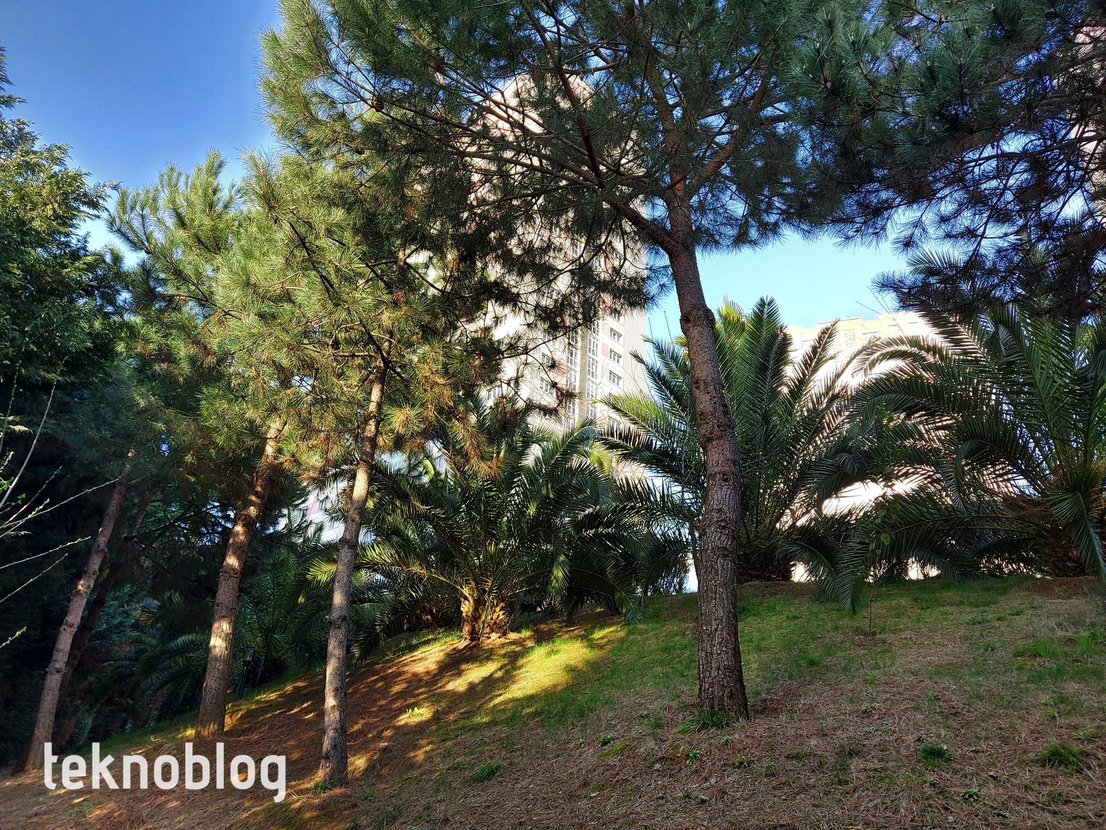 Samsung Galaxy A71 İncelemesi