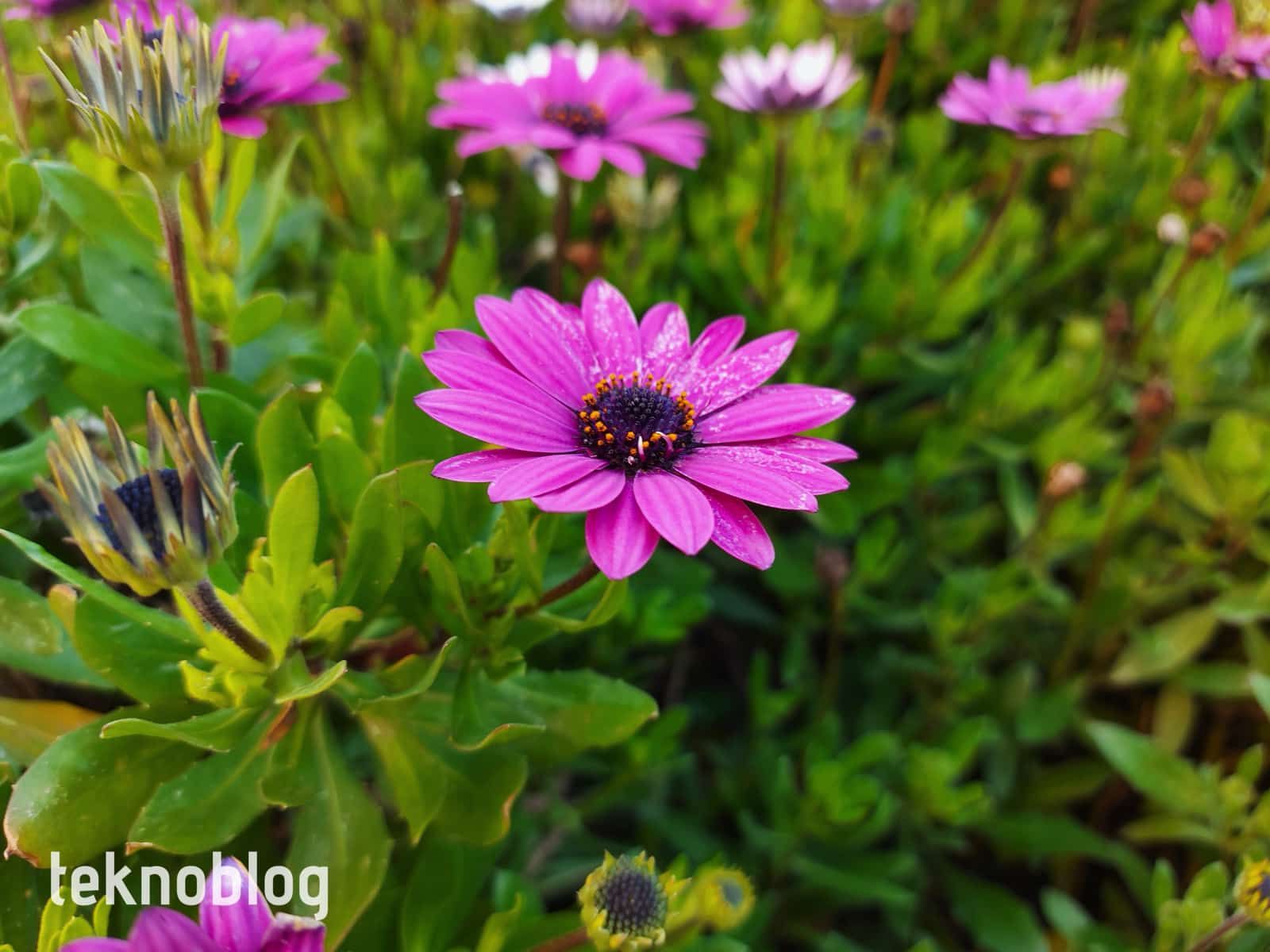 Samsung Galaxy A71 İncelemesi