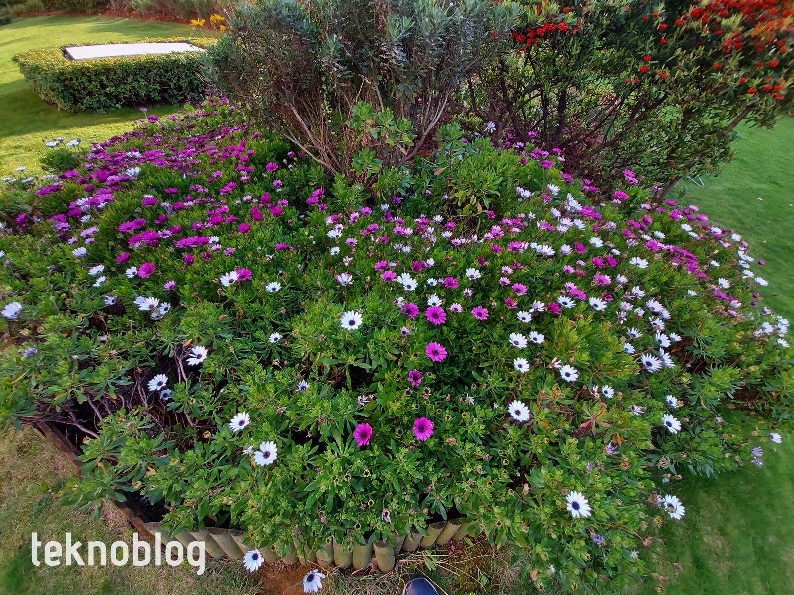 Samsung Galaxy A71 İncelemesi