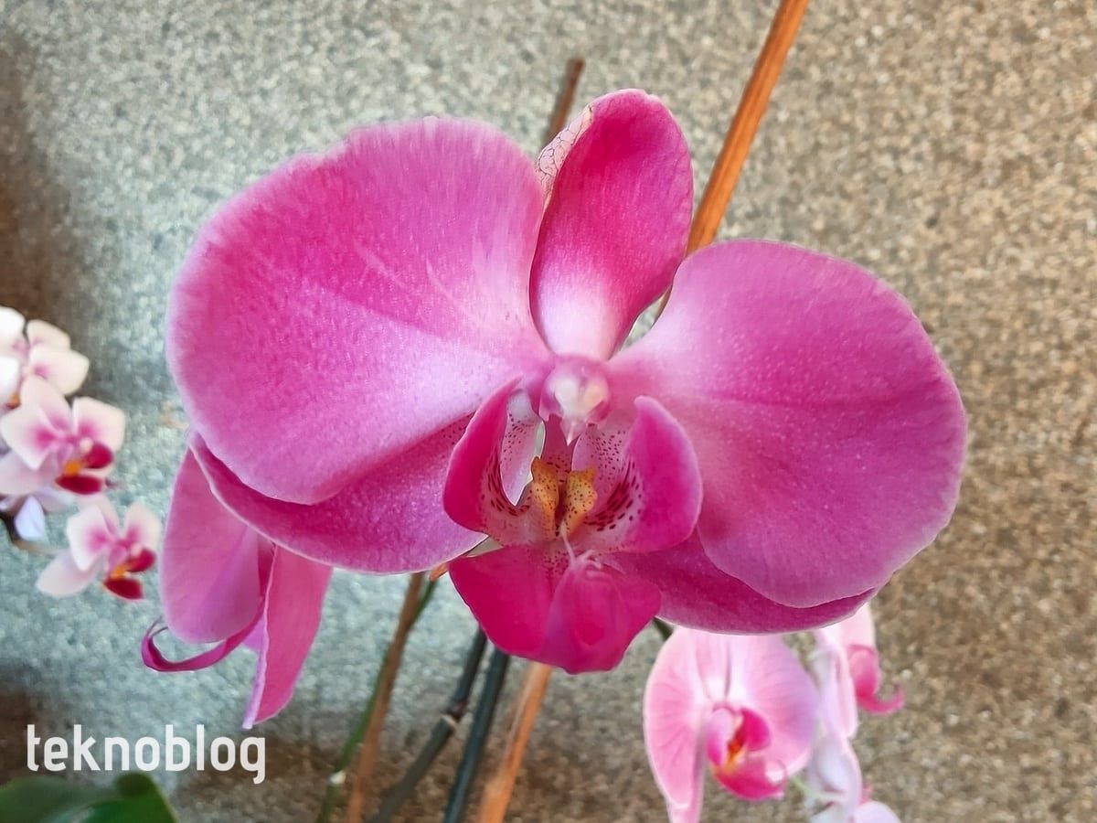 Oppo Find X2 İncelemesi