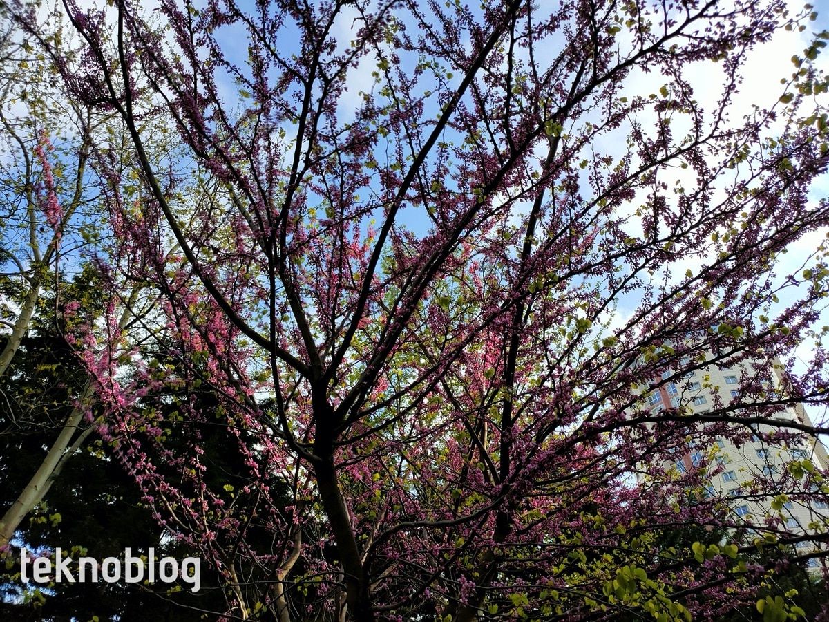 Oppo Find X2 İncelemesi