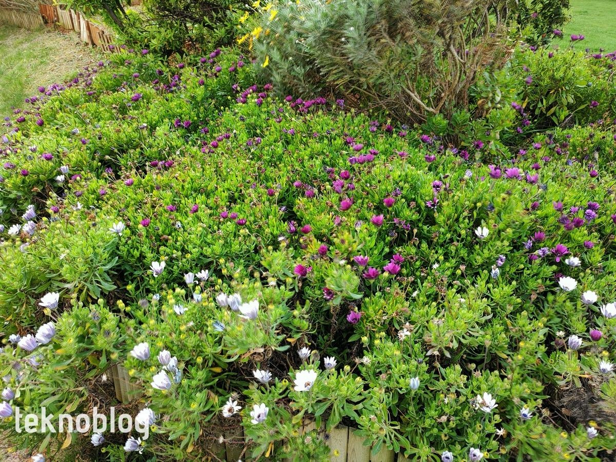 Oppo Find X2 İncelemesi