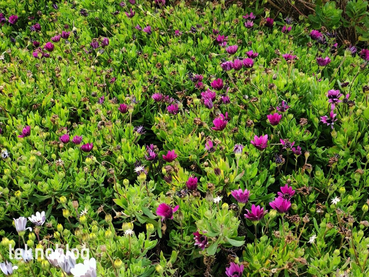 Oppo Find X2 İncelemesi