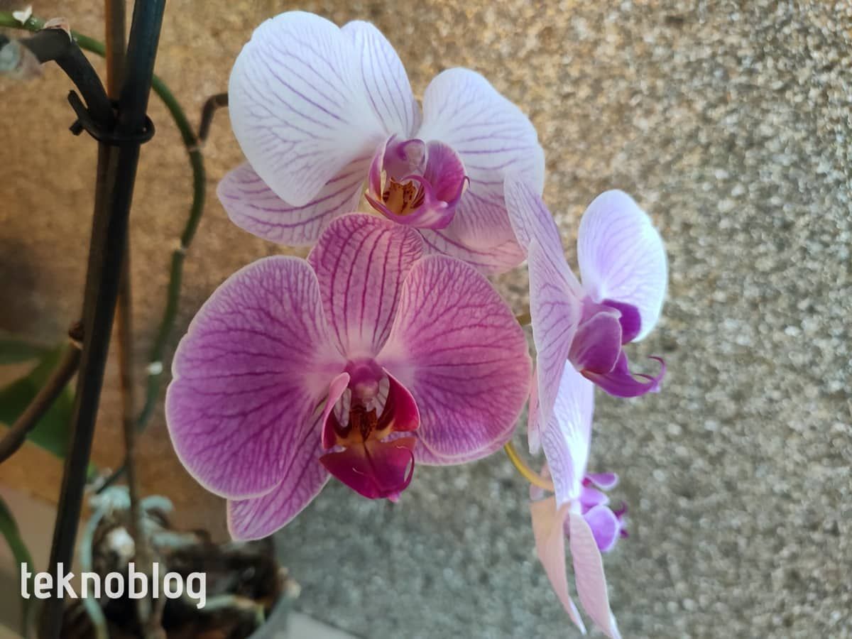 Oppo Find X2 İncelemesi