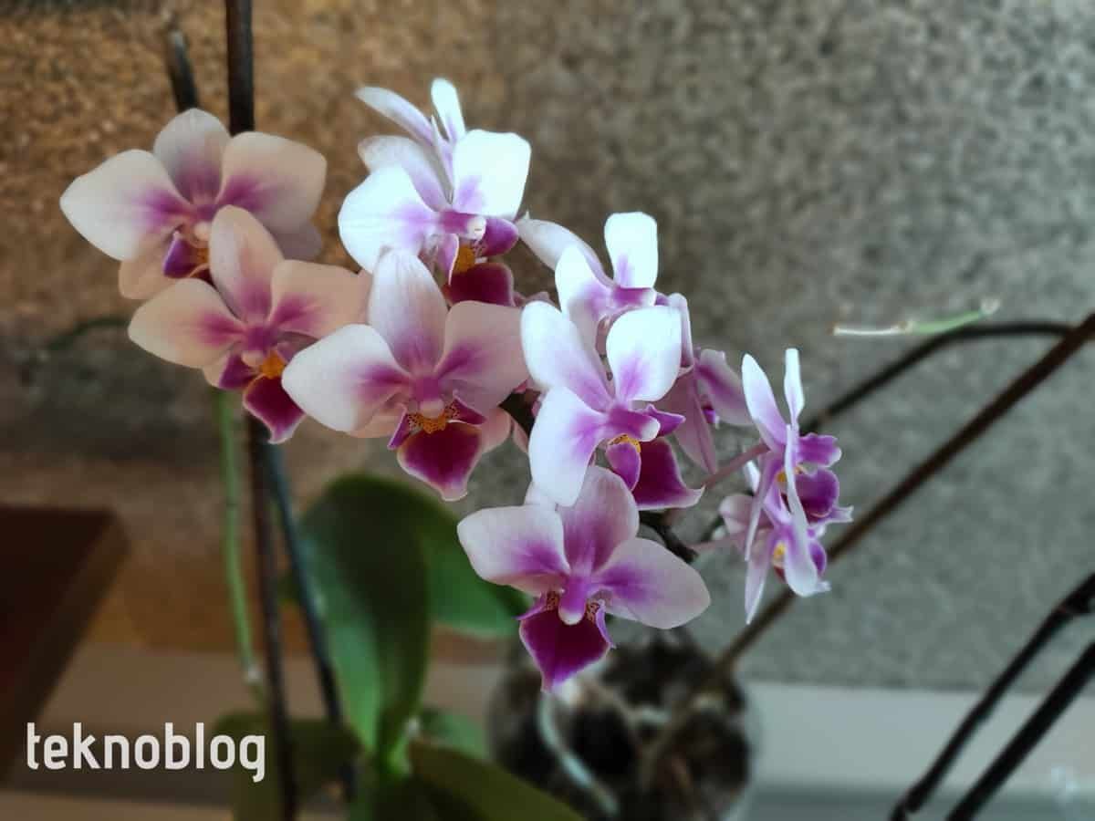 Oppo Find X2 İncelemesi