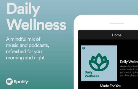 spotify daily wellness