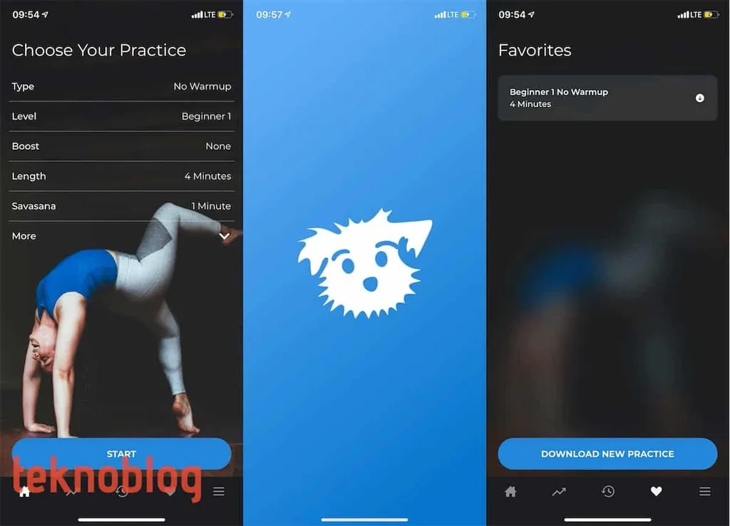 Down Dog: Yoga için ideal yol arkadaşı
