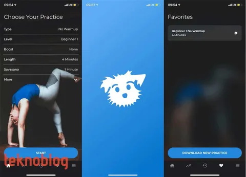 Down Dog: Yoga için ideal yol arkadaşı