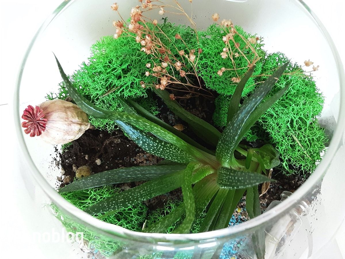 Samsung Galaxy Tab S6 Lite İncelemesi