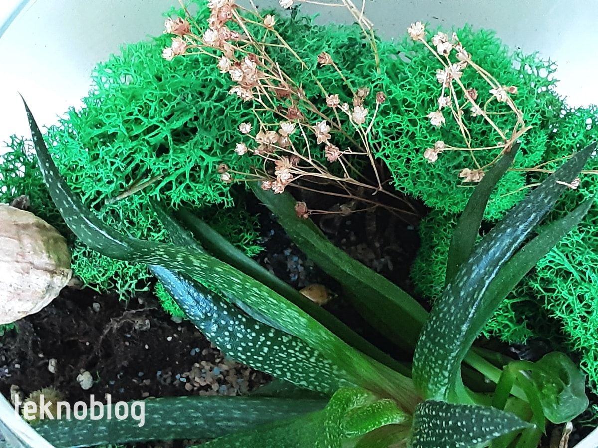 Samsung Galaxy Tab S6 Lite İncelemesi