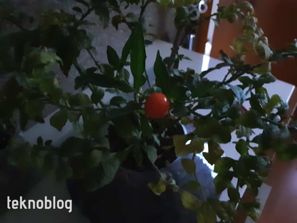 Samsung Galaxy Tab S6 Lite İncelemesi