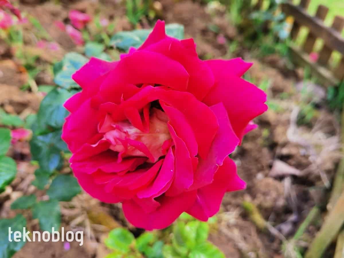 Huawei P40 Pro İncelemesi