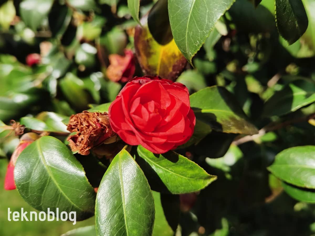 Huawei P40 Pro İncelemesi