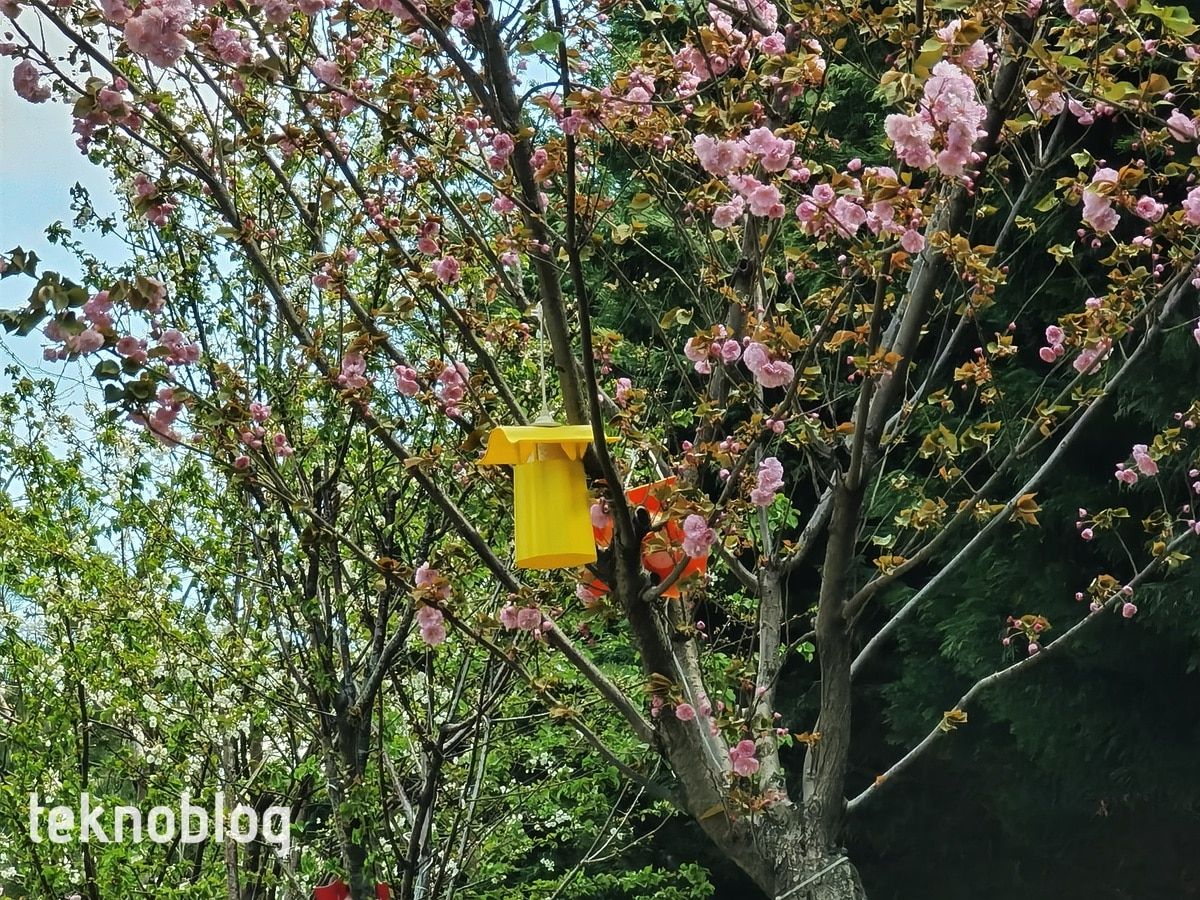 Huawei P40 Pro İncelemesi