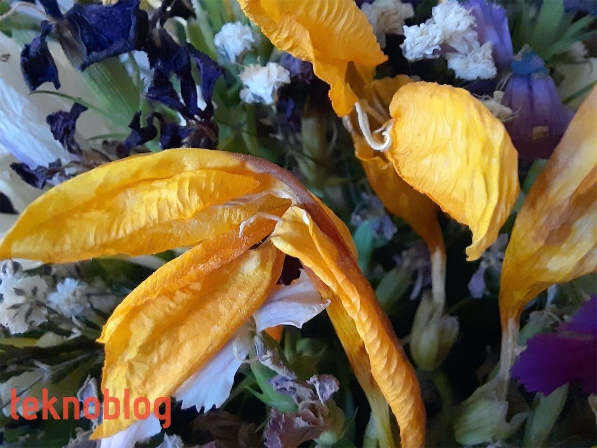 Samsung Galaxy M31 İncelemesi