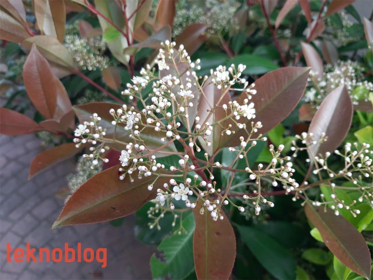 Samsung Galaxy M31 İncelemesi