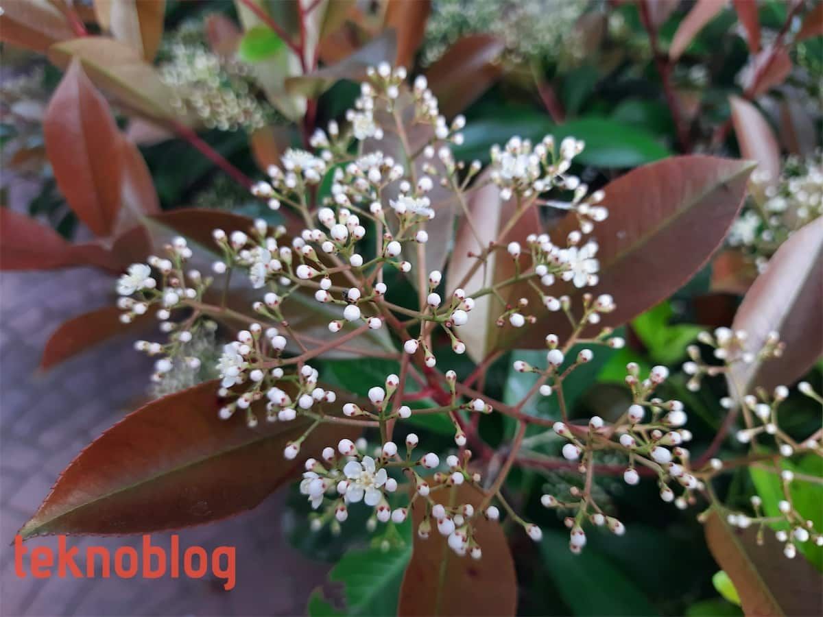 Samsung Galaxy M31 İncelemesi