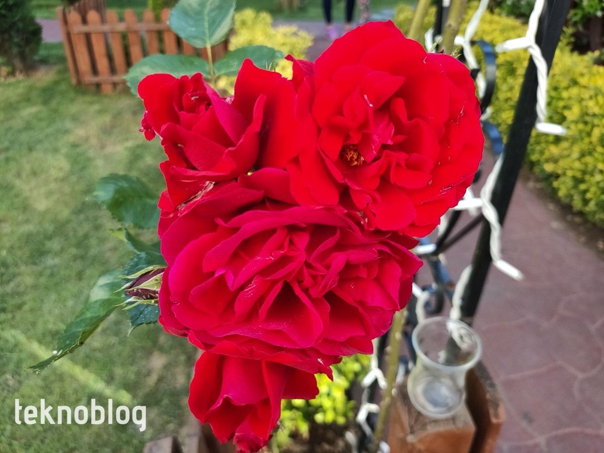 Oppo Reno 3 Pro İncelemesi