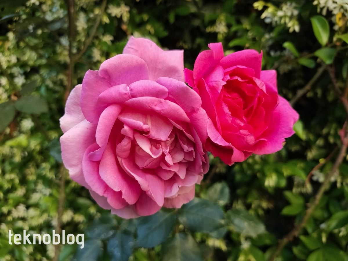 Oppo Reno 3 Pro İncelemesi