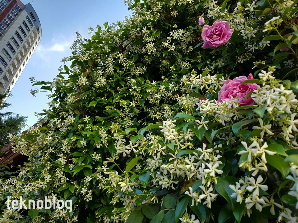 Oppo Reno 3 Pro İncelemesi